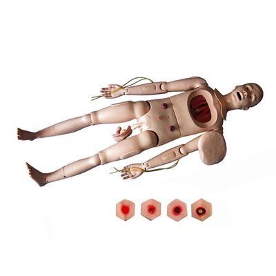 Male and Female Nursing Training Manikin for Flexible Patients Care Demonstration