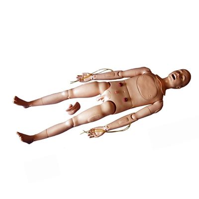 Male and Female Nursing Training Manikin for Flexible Patients Care Demonstration