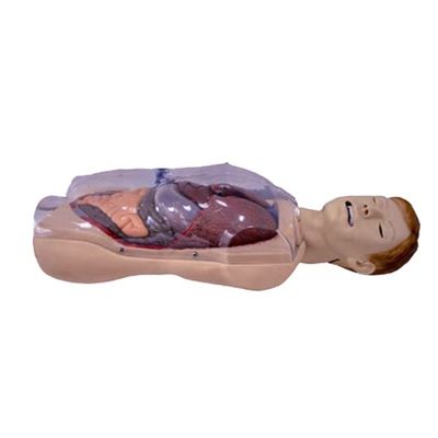 Hospital Clinic College Nurse School Human Life Size Sengstaken-Blakemore NG Tube Nursing Training Simulator