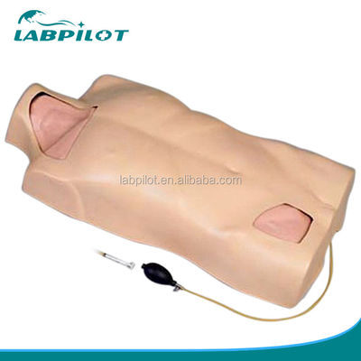 Multiple Veins Puncture Training Simulator Central Venous Catheterization Torso Model