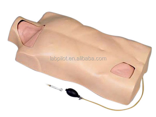 Multiple Veins Puncture Training Simulator Central Venous Catheterization Torso Model