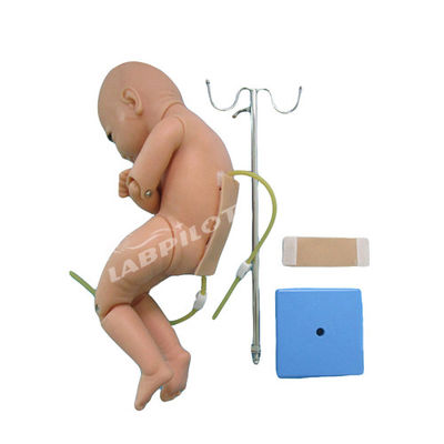Medical Science Infant Lumbar Puncture Anesthesia Training Simulator Manikin