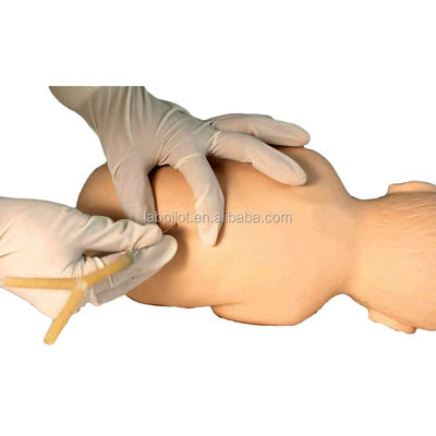 Medical Science Infant Lumbar Puncture Anesthesia Training Simulator Manikin