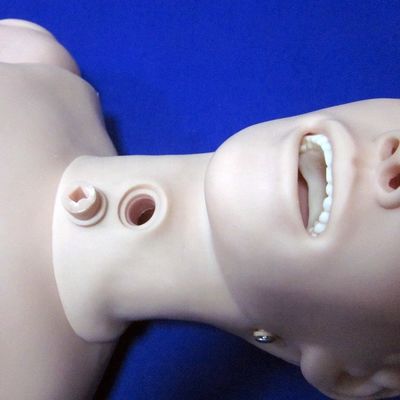 Medical Science Basic Type Female Nursing Manikin Training Simulator with Advanced PVC