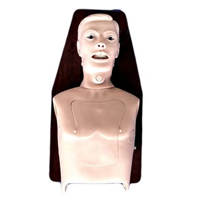 Adult Intubation Trainer Top Choice for Multi-functional Airway Management Training