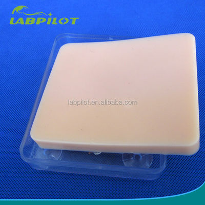 Human Life Size Suturing Training Pad Light Skin Model for Accurate Skill Improvement