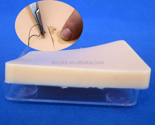 Human Life Size Suturing Training Pad Light Skin Model for Accurate Skill Improvement