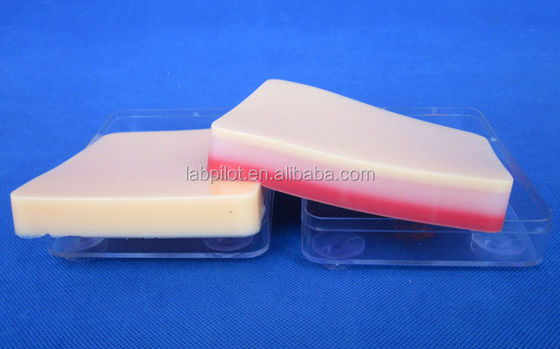 Human Life Size Suturing Training Pad Light Skin Model for Accurate Skill Improvement