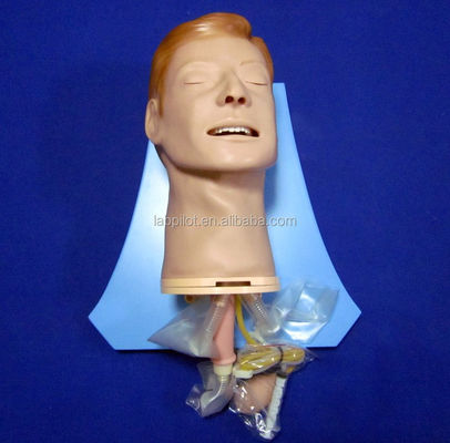 Intubation Training Simulator Comprehensive Airway Model with Human Life Size Manikin