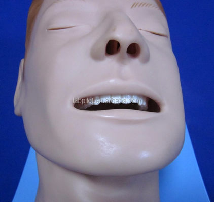 Intubation Training Simulator Comprehensive Airway Model with Human Life Size Manikin