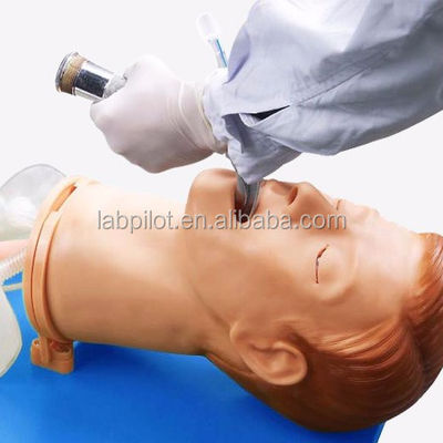 Intubation Training Simulator Comprehensive Airway Model with Human Life Size Manikin