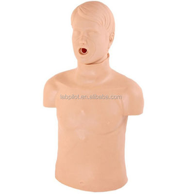 Realistic Human Manikin for Basic Emergency Skills Training Half Body CPR Training