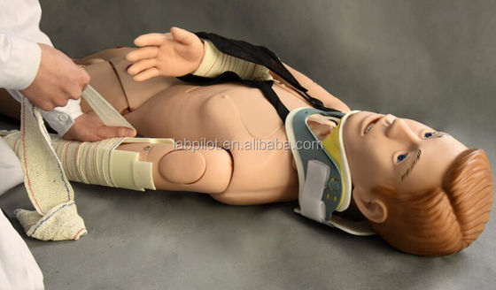 Medical Teaching Manikin for External Fixation Training in First Aid of Limb Fracture