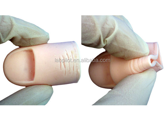 Nail Excision Training Model for Clinical Surgical Skills Teaching in Medical Science