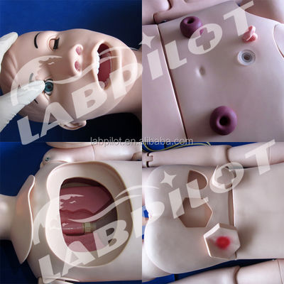 Comprehensive Clinical Nursing Teaching Simulators Multi-functional Female Nursing Manikin
