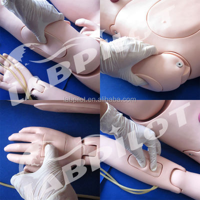 Comprehensive Clinical Nursing Teaching Simulators Multi-functional Female Nursing Manikin