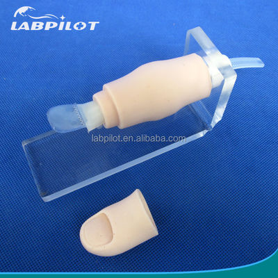 Medical Science 2017 Ingrown Toenail Simulator Partial Nail Avulsion Training Finger Model