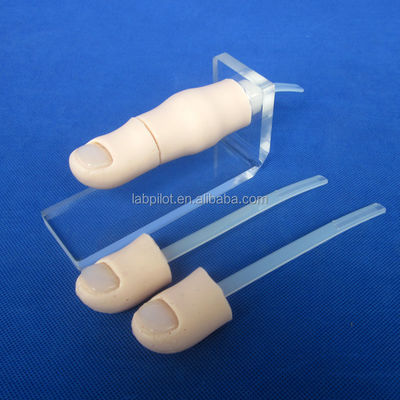 Medical Science 2017 Ingrown Toenail Simulator Partial Nail Avulsion Training Finger Model