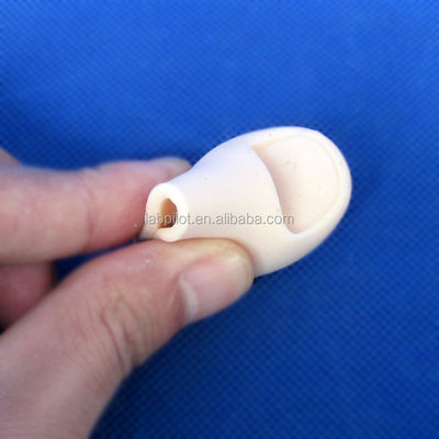 Medical Science 2017 Ingrown Toenail Simulator Partial Nail Avulsion Training Finger Model