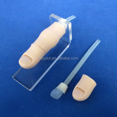 Medical Science 2017 Ingrown Toenail Simulator Partial Nail Avulsion Training Finger Model