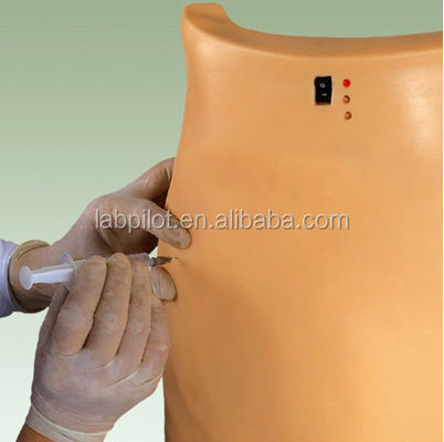 Advanced PVC Electronic Buttocks Injection Simulator IM Training Model
