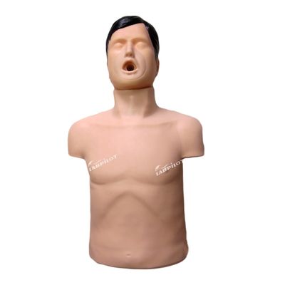 PVC Adult Airway Obstruction First Aid Training Manikin for Choking Training