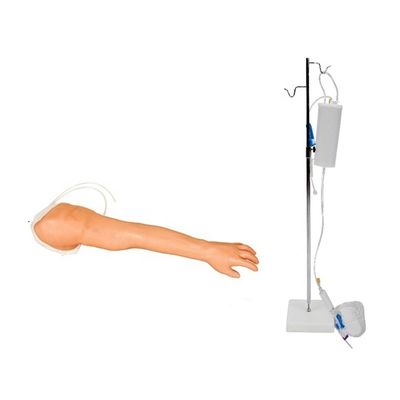 Realistic Venipuncture and Injection Training Arm Model for Healthcare Professionals