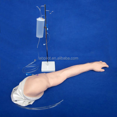 Realistic Venipuncture and Injection Training Arm Model for Healthcare Professionals