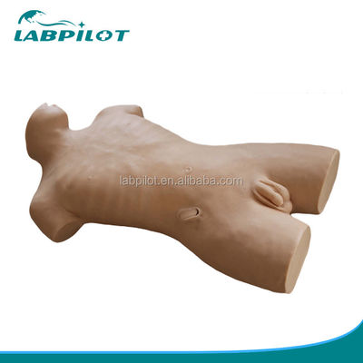 Human Life Size Vivid Wound Manikin for Central Venipuncture Training in Healthcare