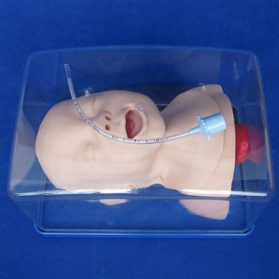 Medical Science Training Model Newborn Trachea Intubation Head and Shoulders Phantom