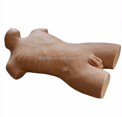 Human Life Size Vivid Wound Manikin for Central Venipuncture Training in Healthcare