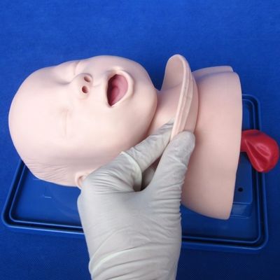 Medical Science Training Model Newborn Trachea Intubation Head and Shoulders Phantom