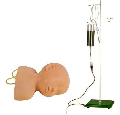 Neonatal Scalp Venipuncture Training Model The Advantage of Human Life Size Design