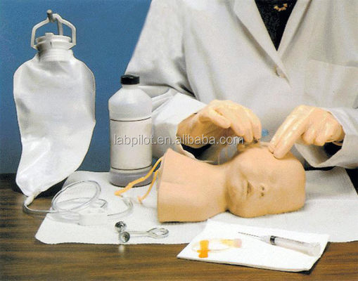 Neonatal Scalp Venipuncture Training Model The Advantage of Human Life Size Design