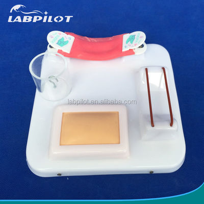 Advanced PVC Multi-functional Surgical Skills Training Model for Comprehensive Training