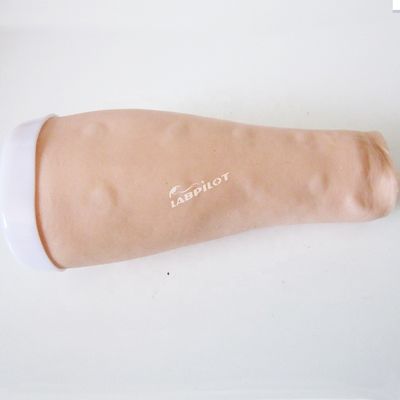 Skin Test Practice Simulator Human Life Size Intradermal Injection Training Arm Model