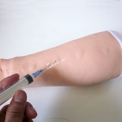 Skin Test Practice Simulator Human Life Size Intradermal Injection Training Arm Model