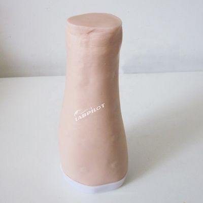 Skin Test Practice Simulator Human Life Size Intradermal Injection Training Arm Model