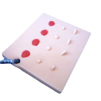 Perfect Your Patients Care demonstration with Manikin and Skin Lesions Training Model