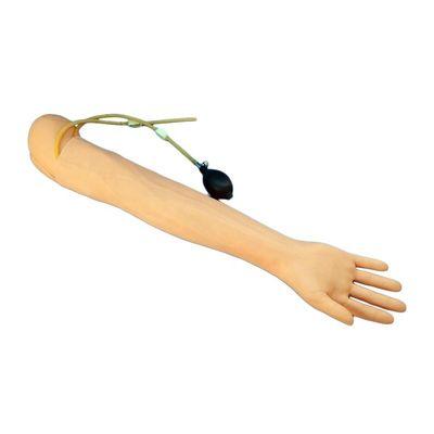 Medical Teaching Simulator Human Life Size Arm for Blood Drawing and Infusion Practice
