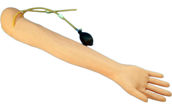 Medical Teaching Simulator Human Life Size Arm for Blood Drawing and Infusion Practice