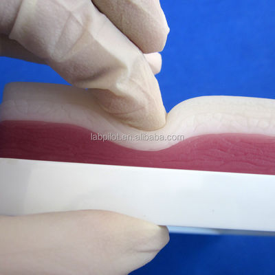 Medical Teaching Simulators Elastic 3-Layer Surgical Suturing Pad for Muscle and Skin