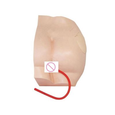 Advanced PVC Intramuscular Injection Teaching Simulator for Medical Science Subject