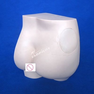 Advanced PVC Intramuscular Injection Teaching Simulator for Medical Science Subject