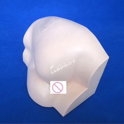 Advanced PVC Intramuscular Injection Teaching Simulator for Medical Science Subject