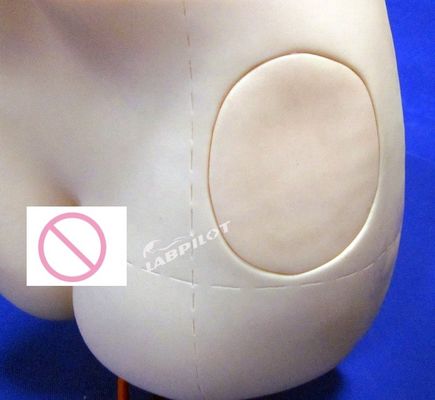 Advanced PVC Intramuscular Injection Teaching Simulator for Medical Science Subject