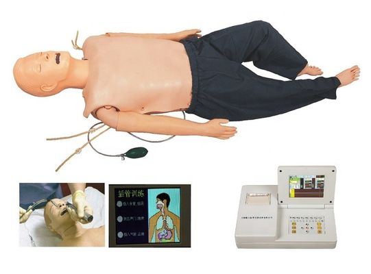PVC Manikin for Medical Training in Categories of ACLS and IV Intubation Model