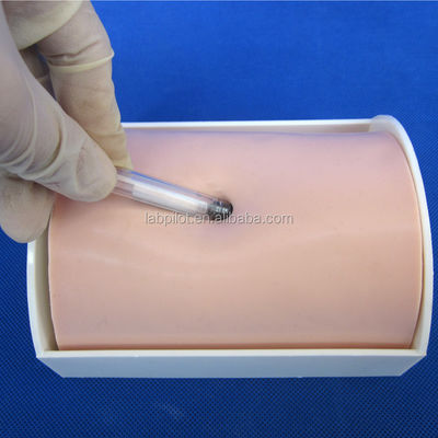 Categories Educational Mannequin Vivid Skin Injection Practice Pad for Nurse Schools