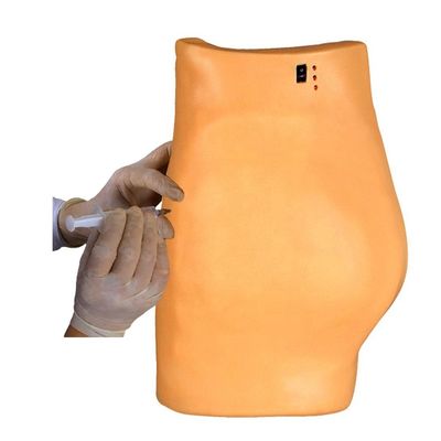 Medical Model for Puncture Training Demonstration Electronic Muscle Injection Teaching
