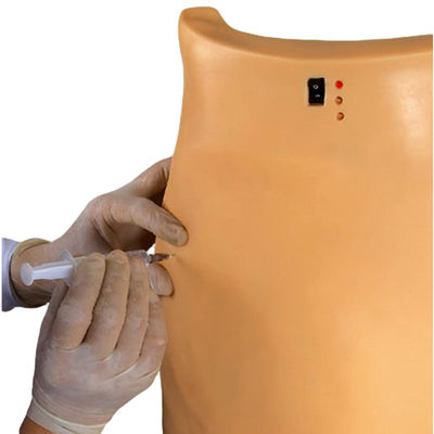 Medical Model for Puncture Training Demonstration Electronic Muscle Injection Teaching